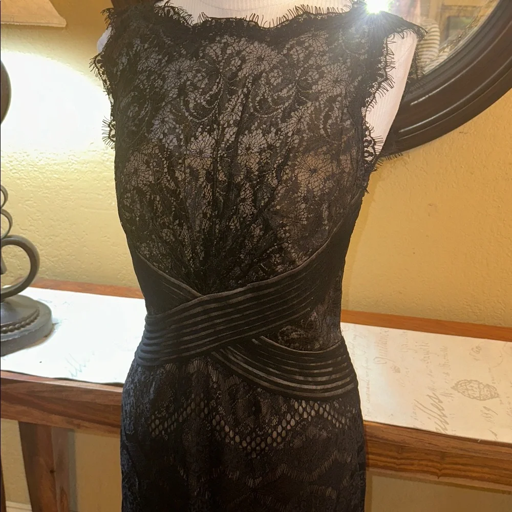 Tadashi Shoji Eyelash Lace Dress - Picture 3 of 9